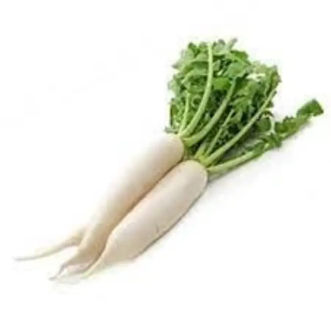 Raddishs White Bunch